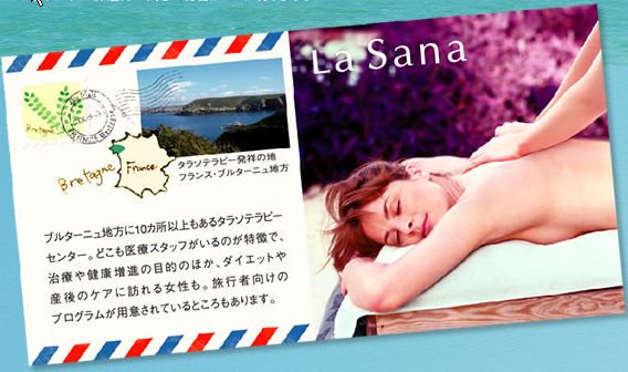 �l�C �w�A�V�����v�[ (�����摜�j